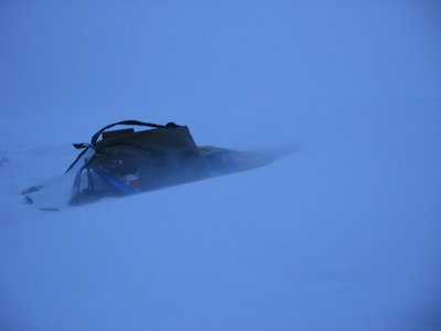 IMG_2978.jpg