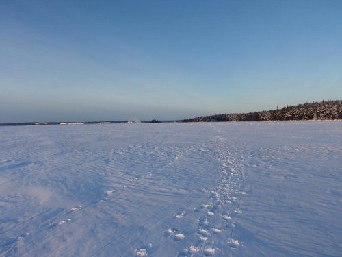 PC295517.JPG