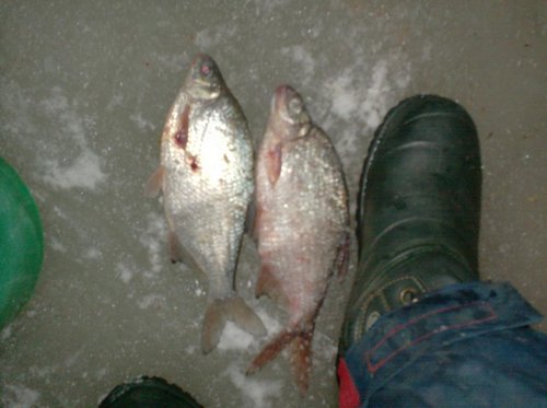 006.JPG (68.39 КБ) 4677 просмотров 006.JPG