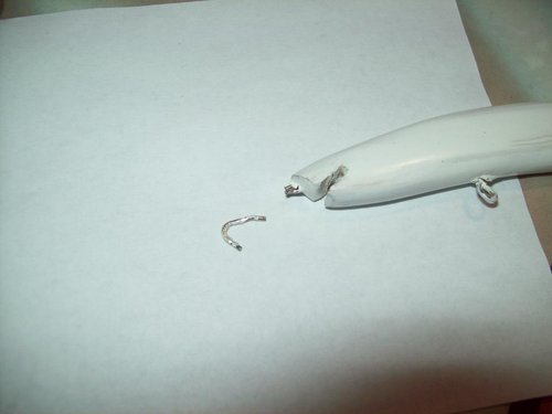 100_8980.JPG