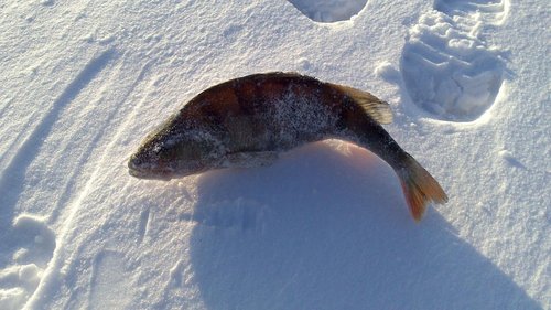 DSC_0004.jpg