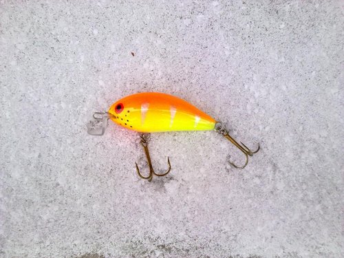 23012013236.jpg (143.19 КБ) 949 просмотров 4см, ива, рабочий горизонт до 1.5м.