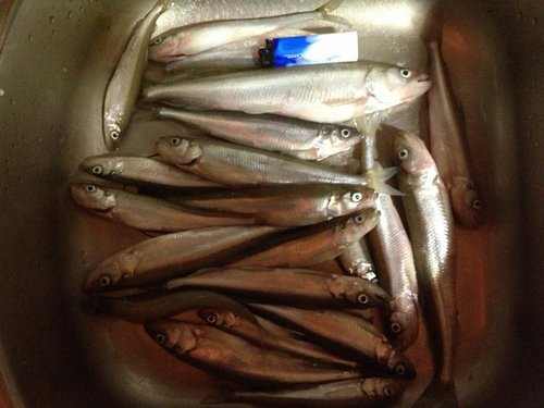 IMG_0382.JPG (95.75 КБ) 12993 просмотра "Огурцы малосольные"