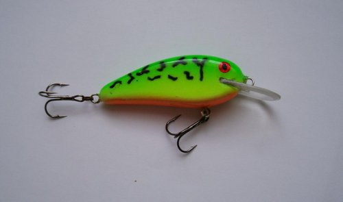 GEDC0406.JPG