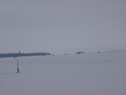 P2175766.JPG