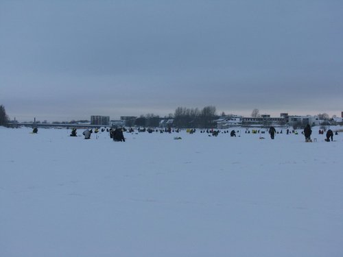 IMG_4510 (800 x 600).jpg