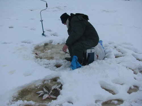 IMG_4512 (800 x 600).jpg