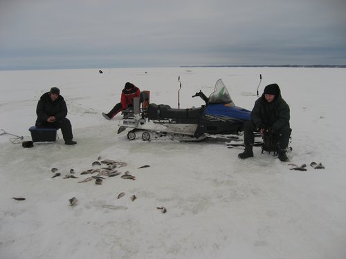 IMG_6489.jpg