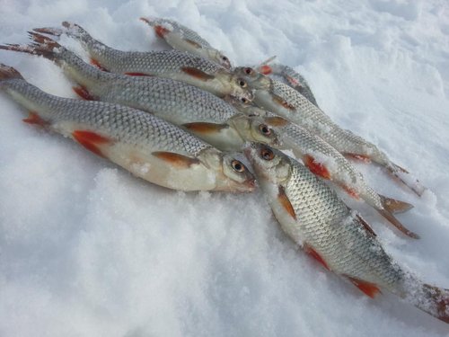 20130227_120306.jpg