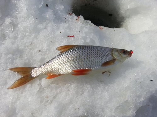 20130226_124139.jpg