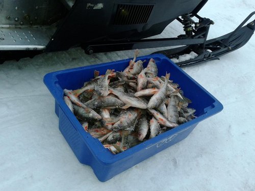 20130302_171335[1].jpg