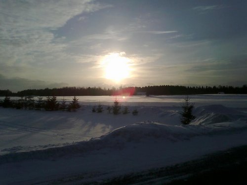2013-03-03-052[1].jpg