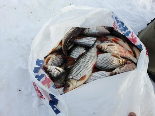 20130306_121850.jpg