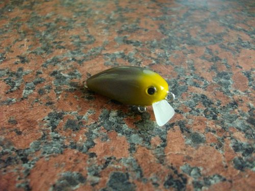 Picture 300.jpg