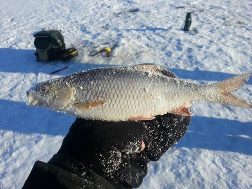 20130311_083506.jpg