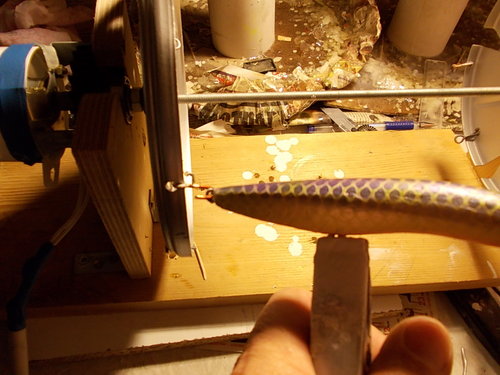 DSCN2135.JPG