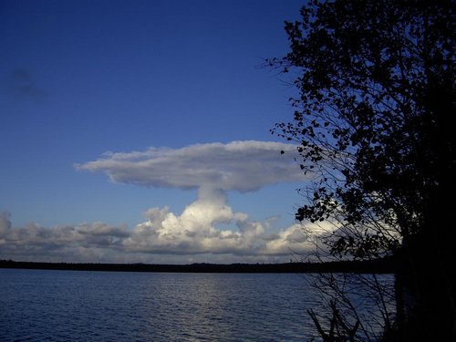 фото 2011 501.jpg