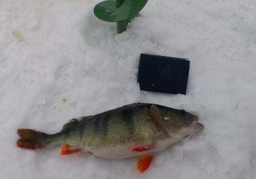 DSC_0921-1.jpg (23.36 КБ) 3129 просмотров Бур 150 мм и паспорт для сравнения