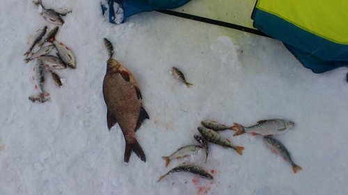 DSC_0924.jpg (76.97 КБ) 3129 просмотров 1 кг 700 гр - 150 мм бур пригодился!