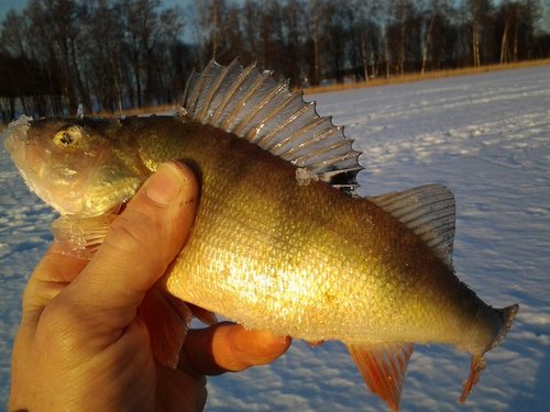 2013-02-27 17.09.31.jpg