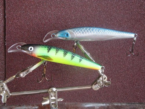 Абаши минноу 10см без огрузки IMG_0018.JPG (166.24 КБ) 1578 просмотров 10 см, абаши, без огрузки