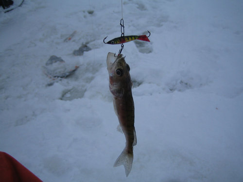 IMG_0871.JPG
