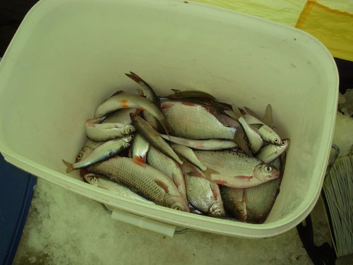 DSCN4367.JPG