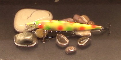 DSC06183.JPG
