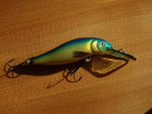 Изображение 011.jpg (138.38 КБ) 1463 просмотра липа,55мм.,5,2г.,плав.