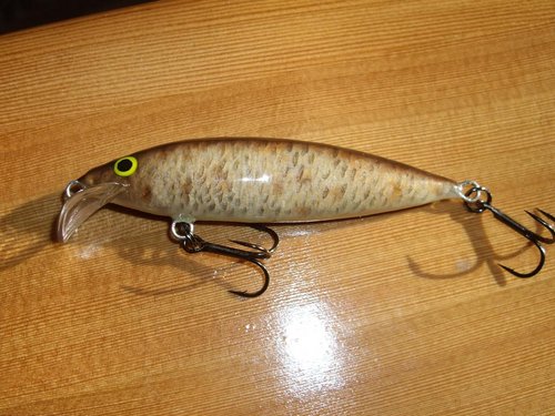 Изображение 014.jpg (138.8 КБ) 1431 просмотр абаши,75мм.,7,5г,плав.