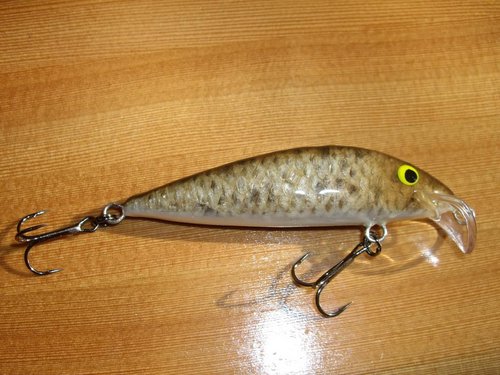 Изображение 020.jpg (124.98 КБ) 1634 просмотра абаши,74мм.,10г.,медлденно тонущий