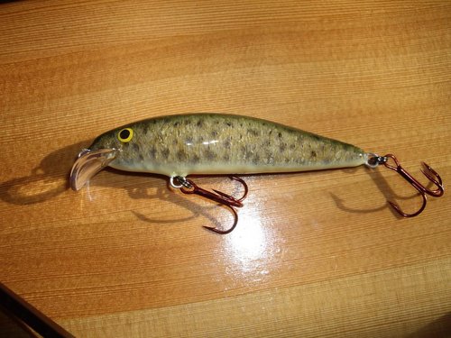 Изображение 021.jpg (136.72 КБ) 1634 просмотра абаши,80мм.,10г.,плав.