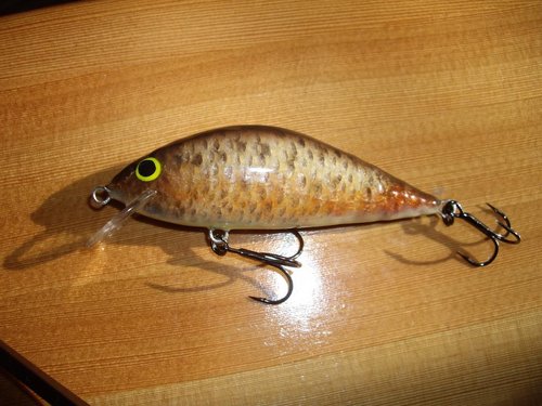 Изображение 022.jpg (122.95 КБ) 1634 просмотра абаши,80мм.,15г.,плав.