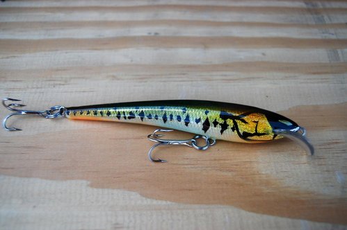 DSC_5925.jpg (86.5 КБ) 853 просмотра Бальса, 115мм