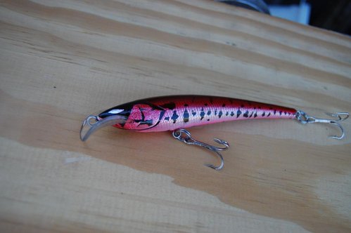 DSC_5933.JPG (67.75 КБ) 853 просмотра Бальса, 115мм