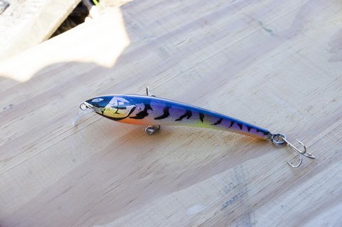 DSC_5996.JPG (90.79 КБ) 853 просмотра Бальса, 115мм