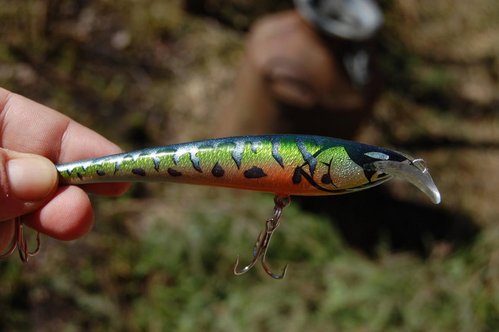 DSC_5912.JPG