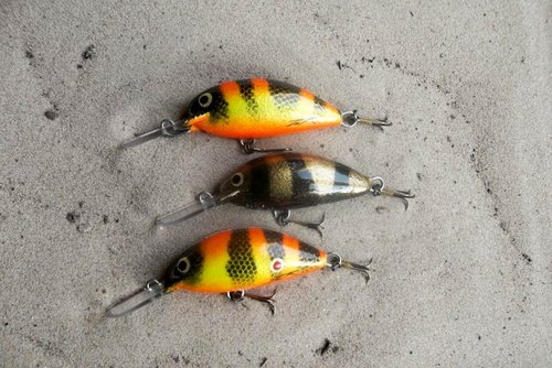 130509 (2).JPG (155.85 КБ) 8302 просмотра абачи 60мм 11,5 11,8 12,3 пл.