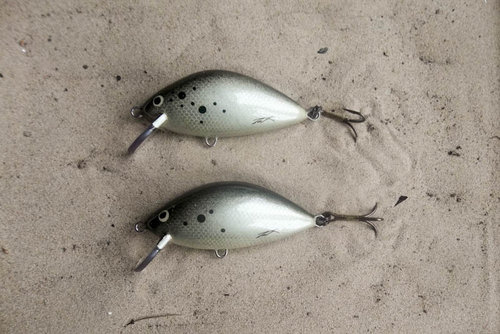 130512 (4).JPG (126.38 КБ) 8258 просмотров абачи 80мм 30,1 31,1 пл. Ебро-Зилзитеры