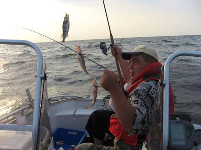 IMG_2.jpg