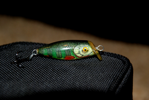 DSC_3672.jpg