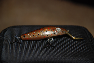 DSC_3681.jpg
