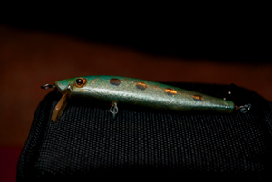 DSC_3686.jpg