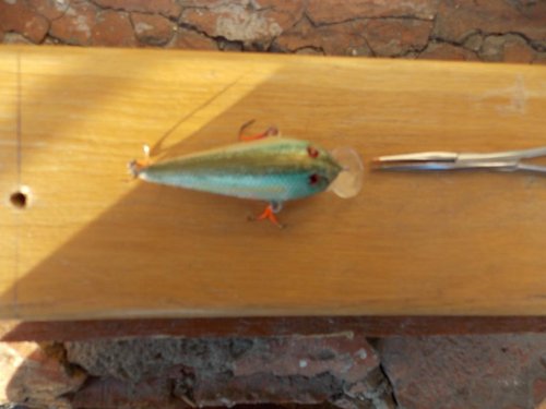 DSCN1218.JPG