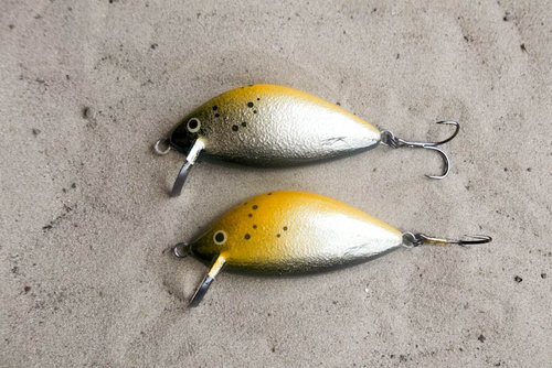 130517 (3).JPG (137.2 КБ) 7668 просмотров ольха 80мм 30,3 31,7 пл. Ебро Зилзитеры