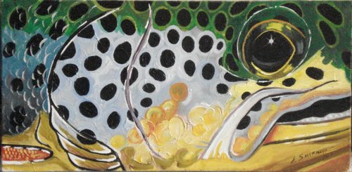 40x20 oil hols.JPG (128.72 КБ) 3732 просмотра 40x20 oil hols.JPG