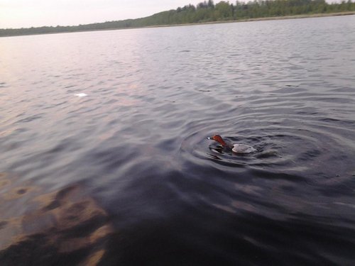 2013-05-19 05.01.36.jpg