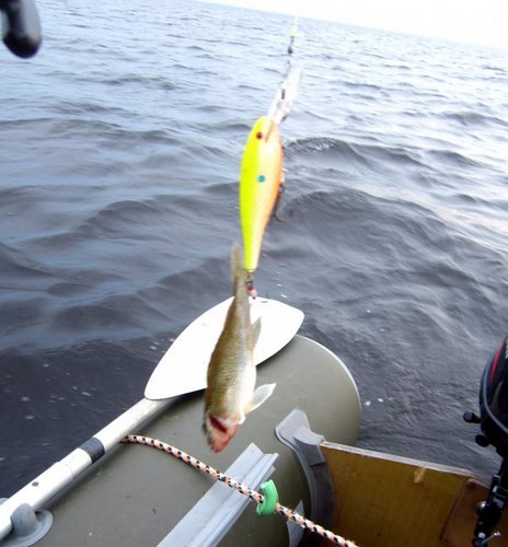 ФЗ11.jpg (63.76 КБ) 1394 просмотра Без комендантов не обошлось!