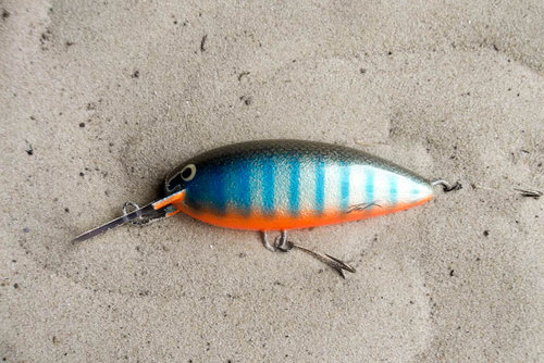 130524 (1).JPG (146.33 КБ) 7582 просмотра ольха 85мм 27,8 пл.