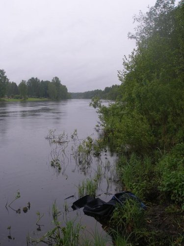 P5250116.JPG
